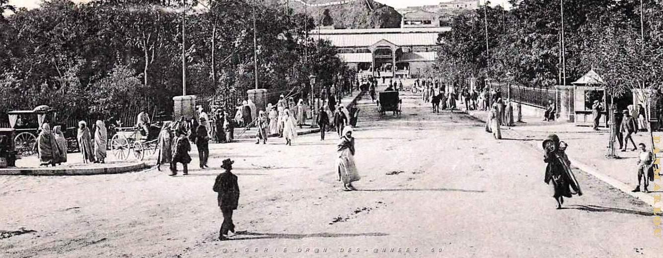 2981- Constantine - Allee des Squares2 - 1904.jpg
